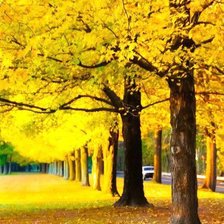 Схема вышивки «№795402»