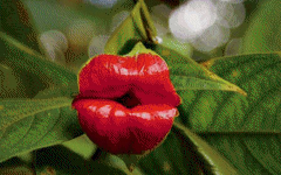 №795575 - предпросмотр