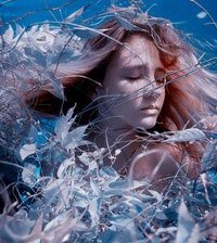 Схема вышивки «№795582»