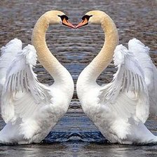 Схема вышивки «№795603»