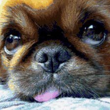 Схема вышивки «пекинесик»