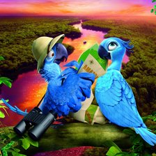 Схема вышивки «Рио»