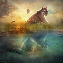 игра полутонов