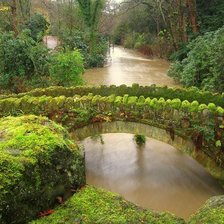 Схема вышивки «№796133»