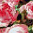 Предпросмотр схемы вышивки «квіти2» (№796152)