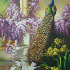 Схема вышивки «павлины-4»