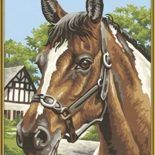 Схема вышивки «лошадиный портрет»