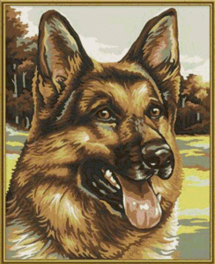 лучший друг - портрет, собака, животные - предпросмотр