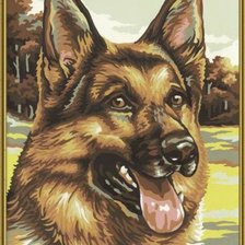 лучший друг