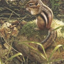 Схема вышивки «№796271»