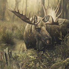 Схема вышивки «№796275»