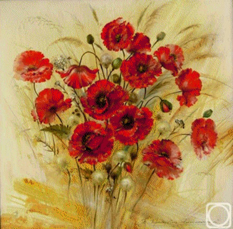 маки - цветы - предпросмотр