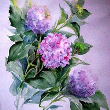 Схема вышивки «Цветы»