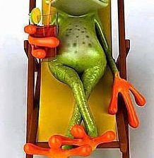 Схема вышивки «жабочка»