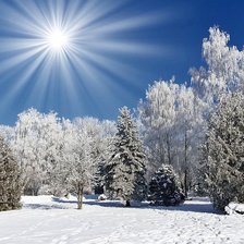 Схема вышивки «Мороз и солнце»