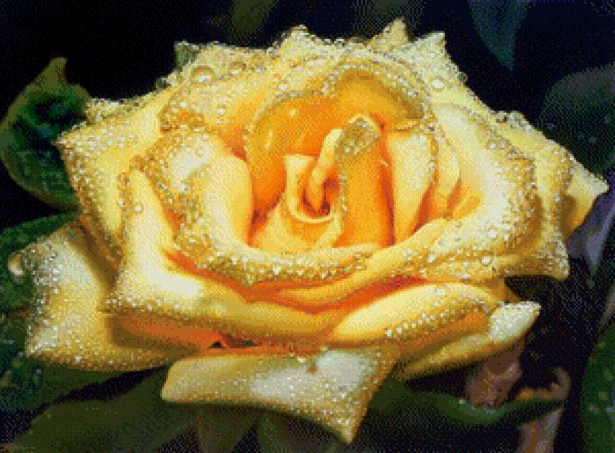 картина - цветы, красота, букет - предпросмотр