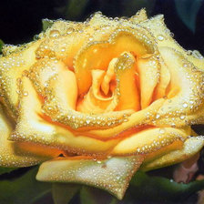 Схема вышивки «картина»