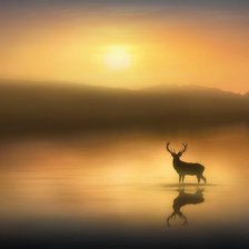 Схема вышивки «№796481»