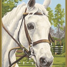 портрет красавца