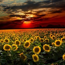 Схема вышивки «закат»