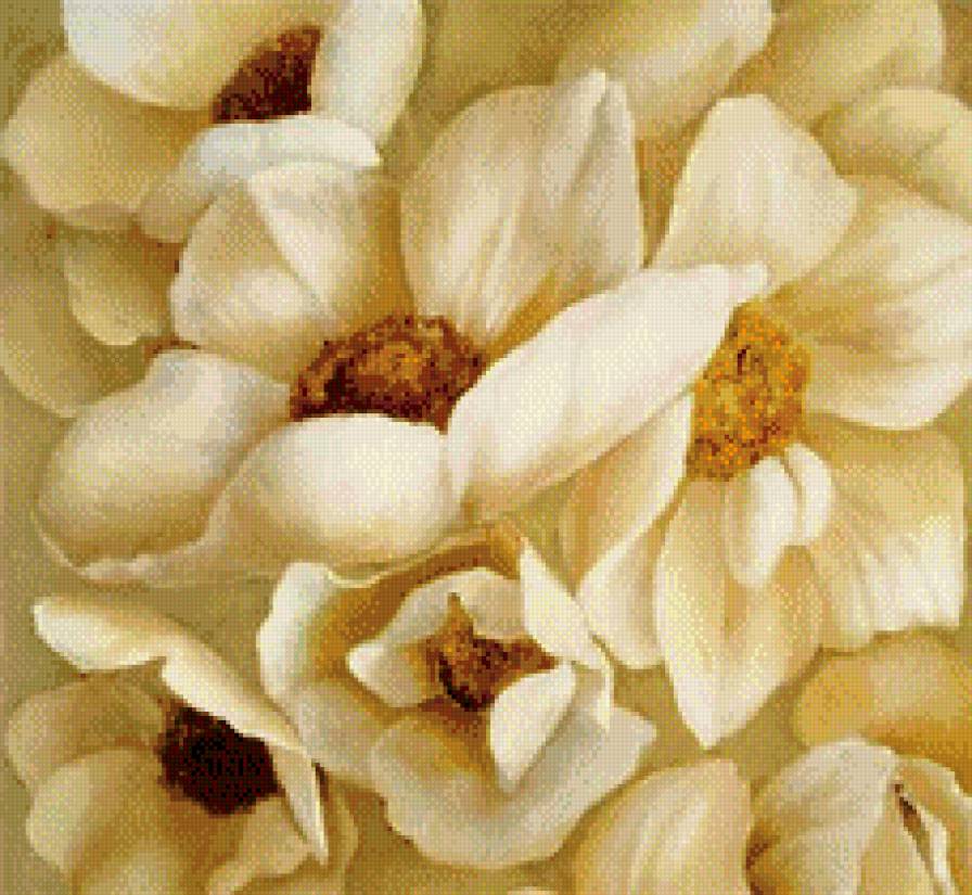 букет - белые цветы, букет, цветы - предпросмотр