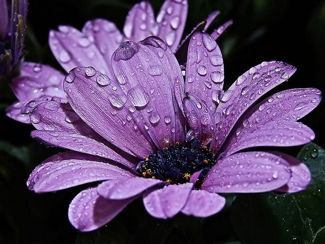 2 - оригинал