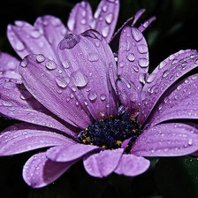 Схема вышивки «2»