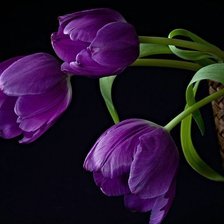 Схема вышивки «3»