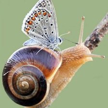 Схема вышивки «№796799»