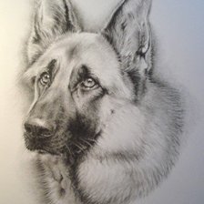 Схема вышивки «№796865»