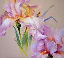 Схема вышивки «Ирисы»