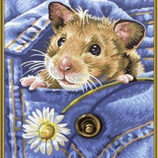 Схема вышивки «теплое местечко»