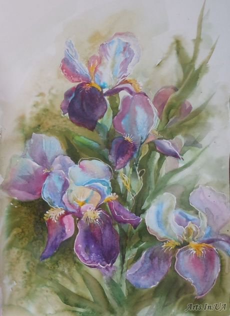 Ирисы - цветы, ирисы - оригинал