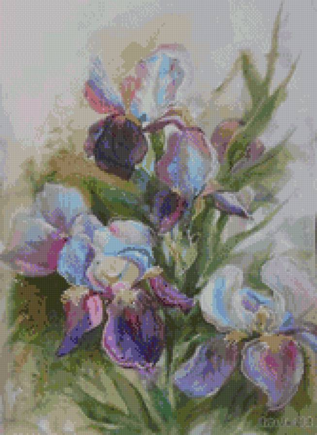 Ирисы - цветы, ирисы - предпросмотр