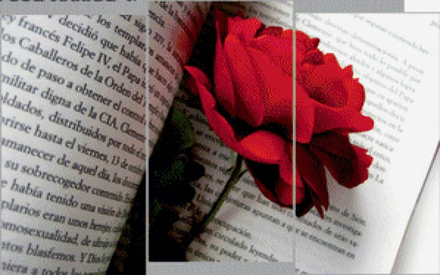 №797183 - предпросмотр