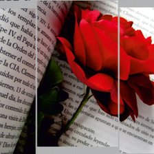 Схема вышивки «№797183»