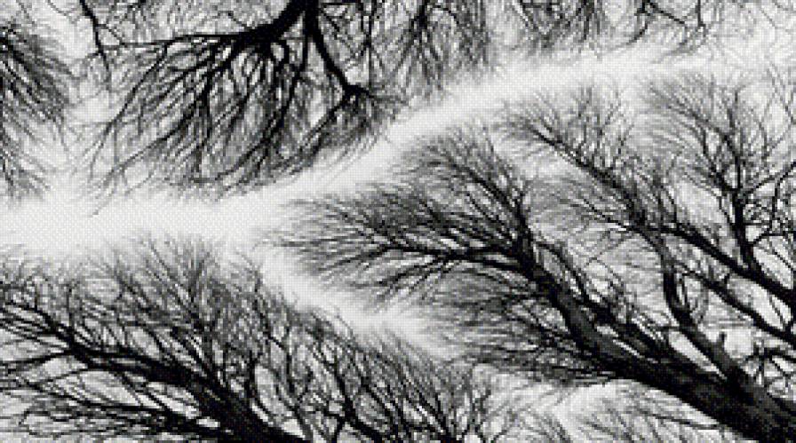 №797185 - предпросмотр