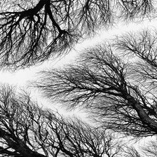 Схема вышивки «№797185»