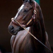 Схема вышивки «№797367»