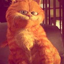 Схема вышивки «№797374»