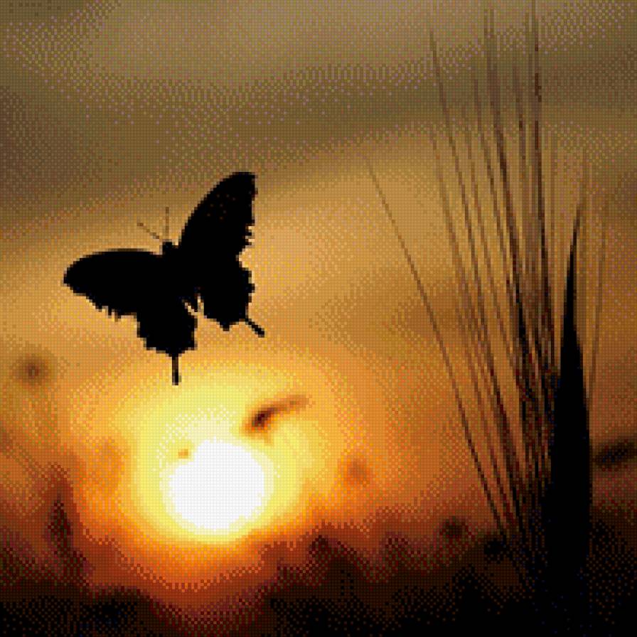 №797407 - бабочки, природа - предпросмотр