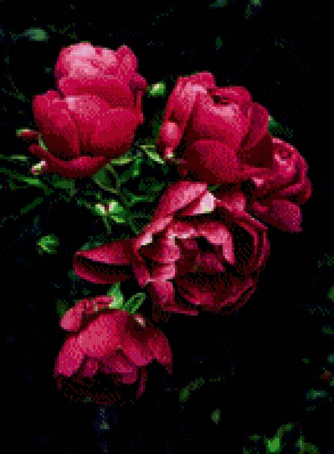 №797442 - цветы - предпросмотр