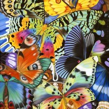 Схема вышивки «бабочки2»