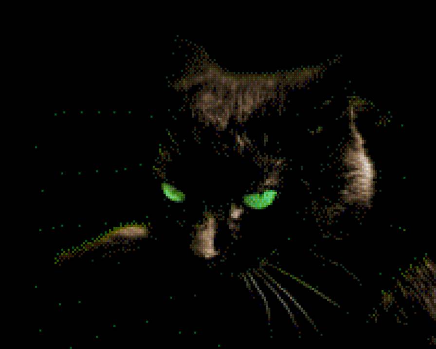 Котик - предпросмотр