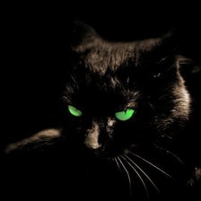 Схема вышивки «Котик»