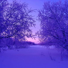 Схема вышивки «Зима»