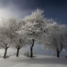 Схема вышивки «Зима 2»