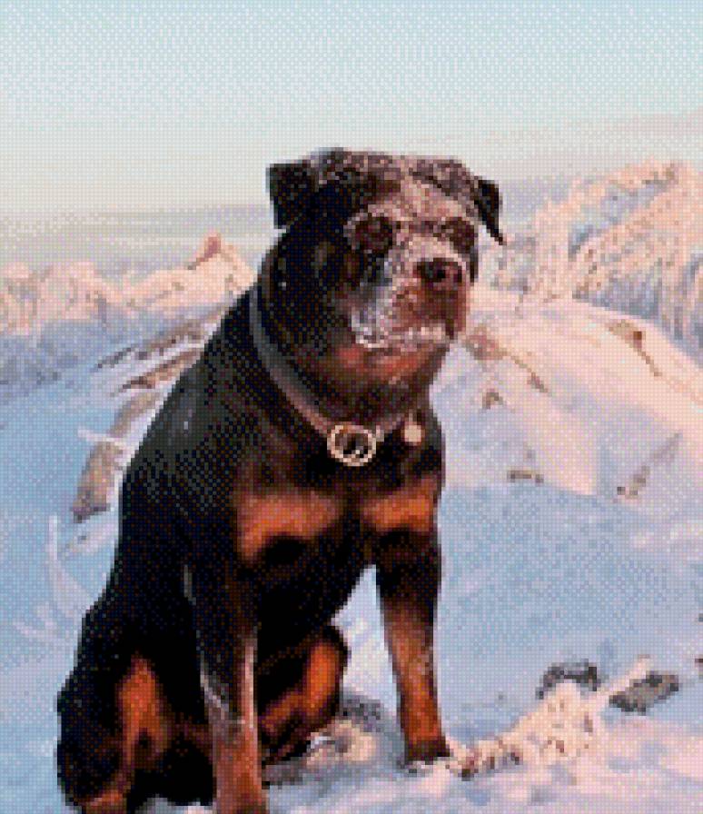 Лерой - предпросмотр