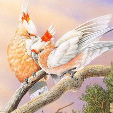 Схема вышивки «№797679»