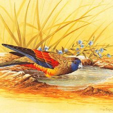 Схема вышивки «№797680»